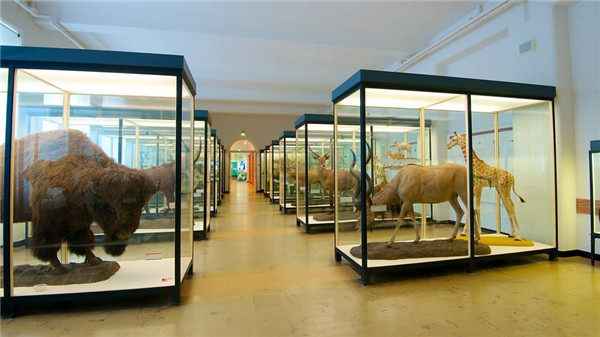德国最大的自然博物馆，德国森根堡自然博物馆