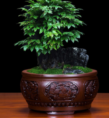 五款中国风陶瓷室内盆景