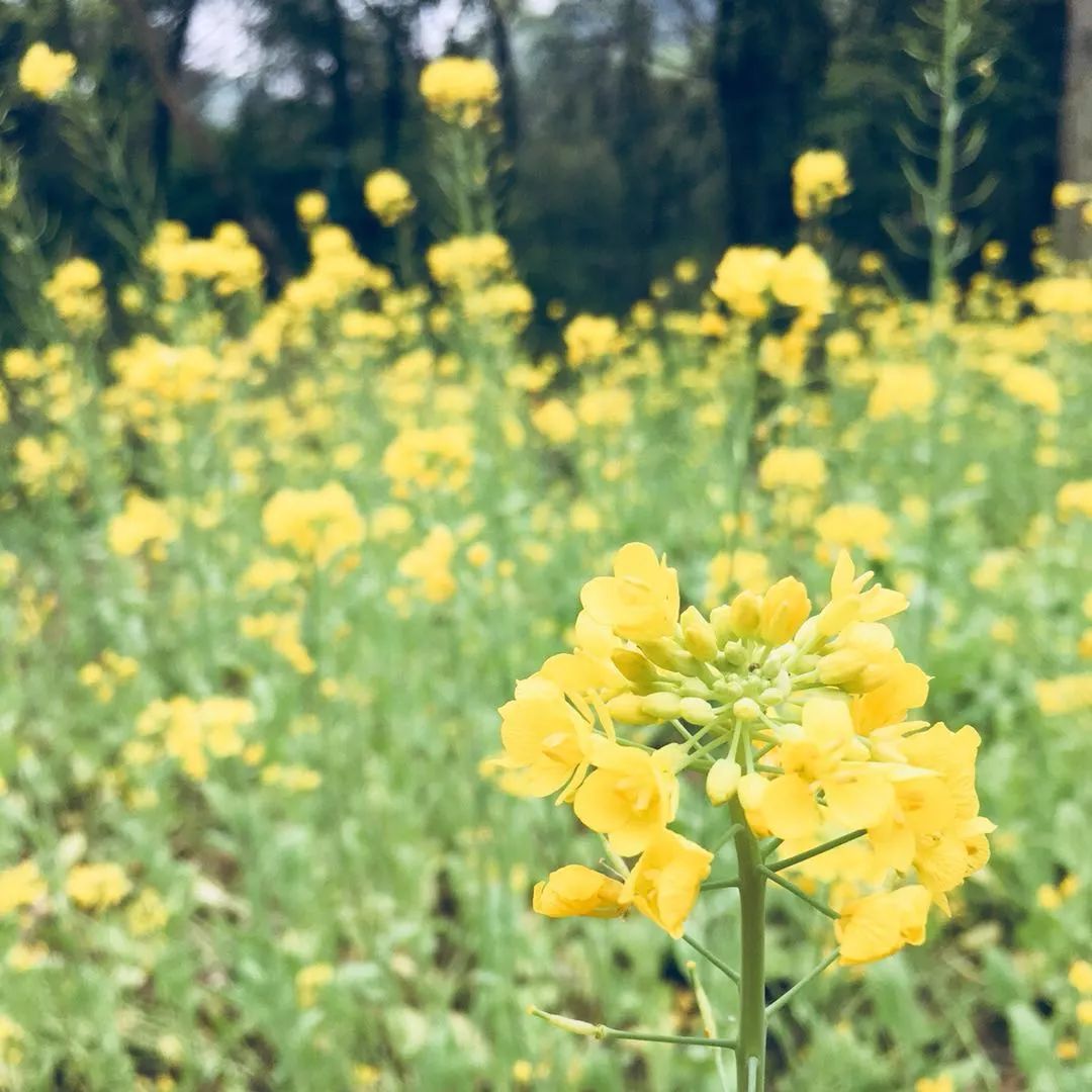 莫干山·梵谷，回归自然的日子才是最难得