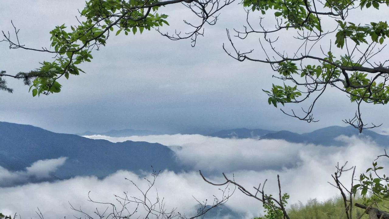 杭州·菩提谷，与你一起私有群山秘境