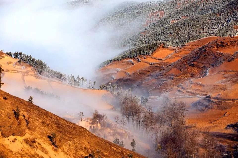 南京·老树院子山囿里,与时光慢揉在一起彼此沉