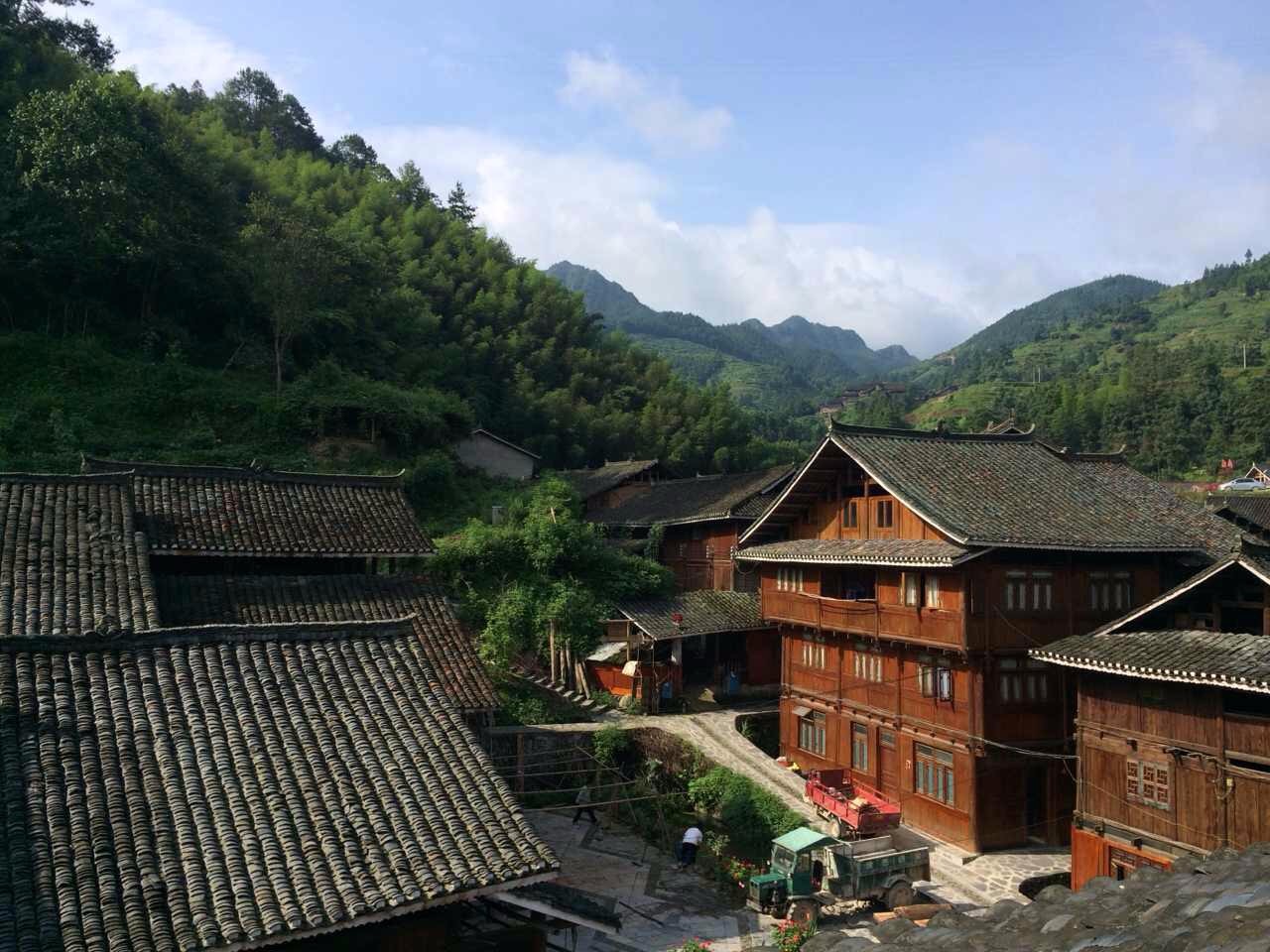 南京·老树院子山囿里,与时光慢揉在一起彼此沉