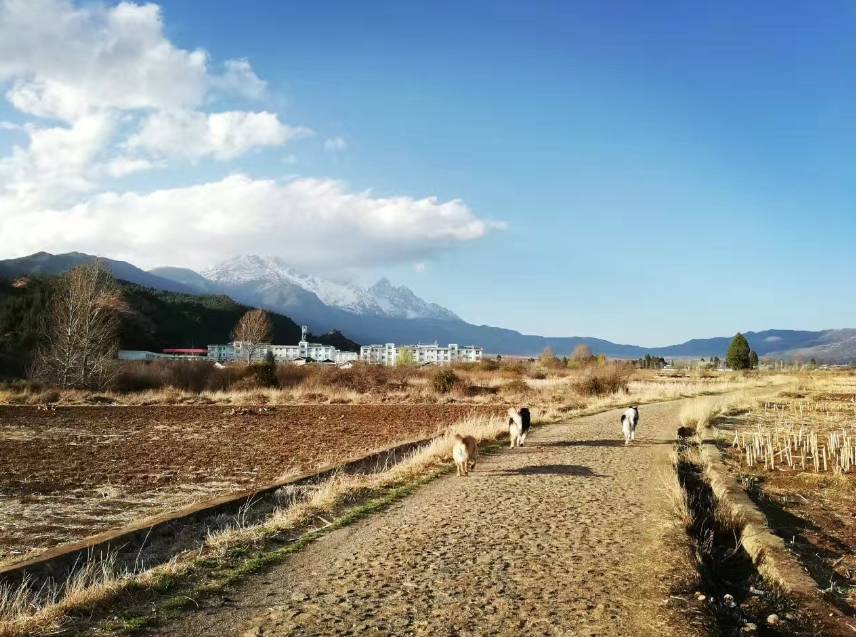 丽江束河·雲山南，相爱真的是一种奇迹