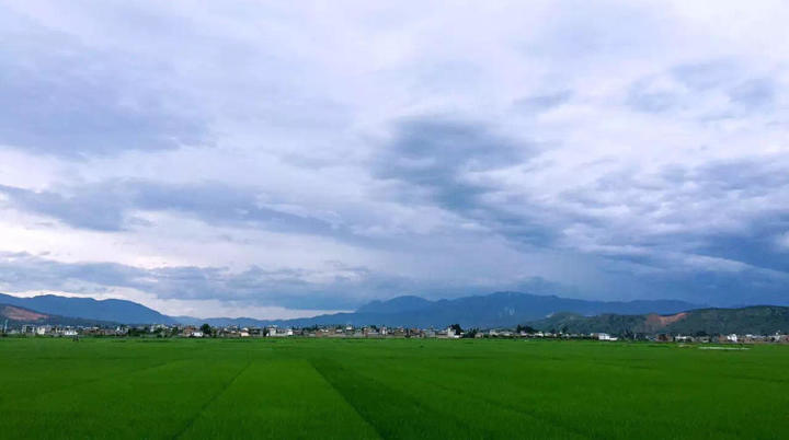 大理密严，繁花盛放找寻已久的内心净土