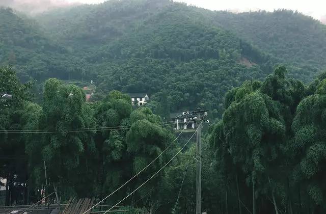 鳴林民宿，穿越千山万水魂牵梦索的只有家乡