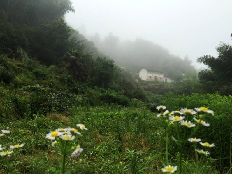 黄山云上民宿，看云卷云舒留住淳朴田园生活