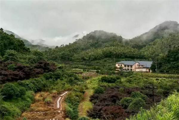 宁波风.谷民宿