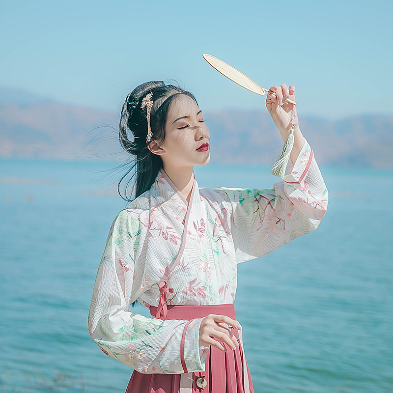 唯美印花交领襦裙汉服，清新齐腰汉服图片