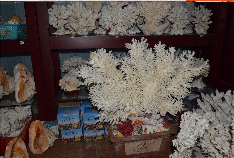 精美的珊瑚艺术品--千年珊瑚万年红（七）