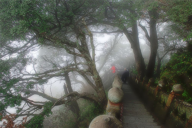 夏日的五岳之冠武当山