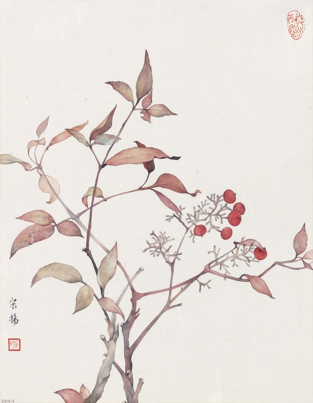 古典清雅宋扬国画植物家具工笔画(二)