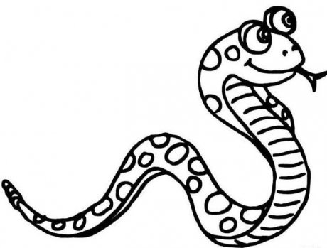 属蛇的人的床头朝向风水是怎样的？