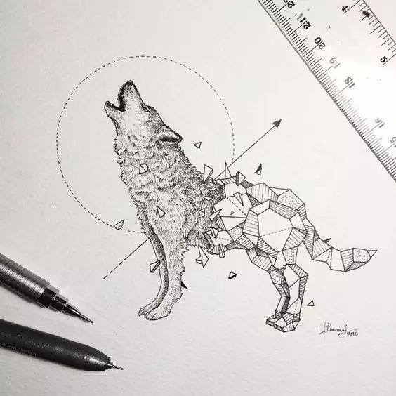惊叹的动物手绘插画：学霸与艺术的完美融合