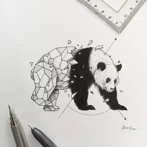 惊叹的动物手绘插画：学霸与艺术的完美融合