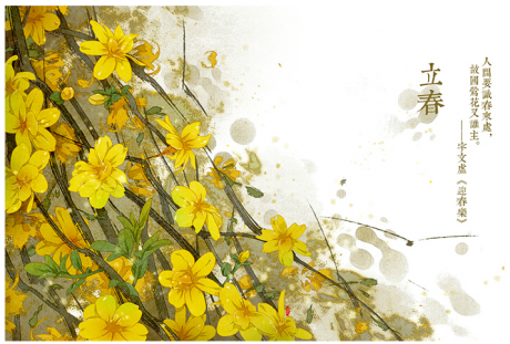 唯美的24节气花卉插画，品味古老的诗之清韵
